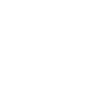 Mic icon